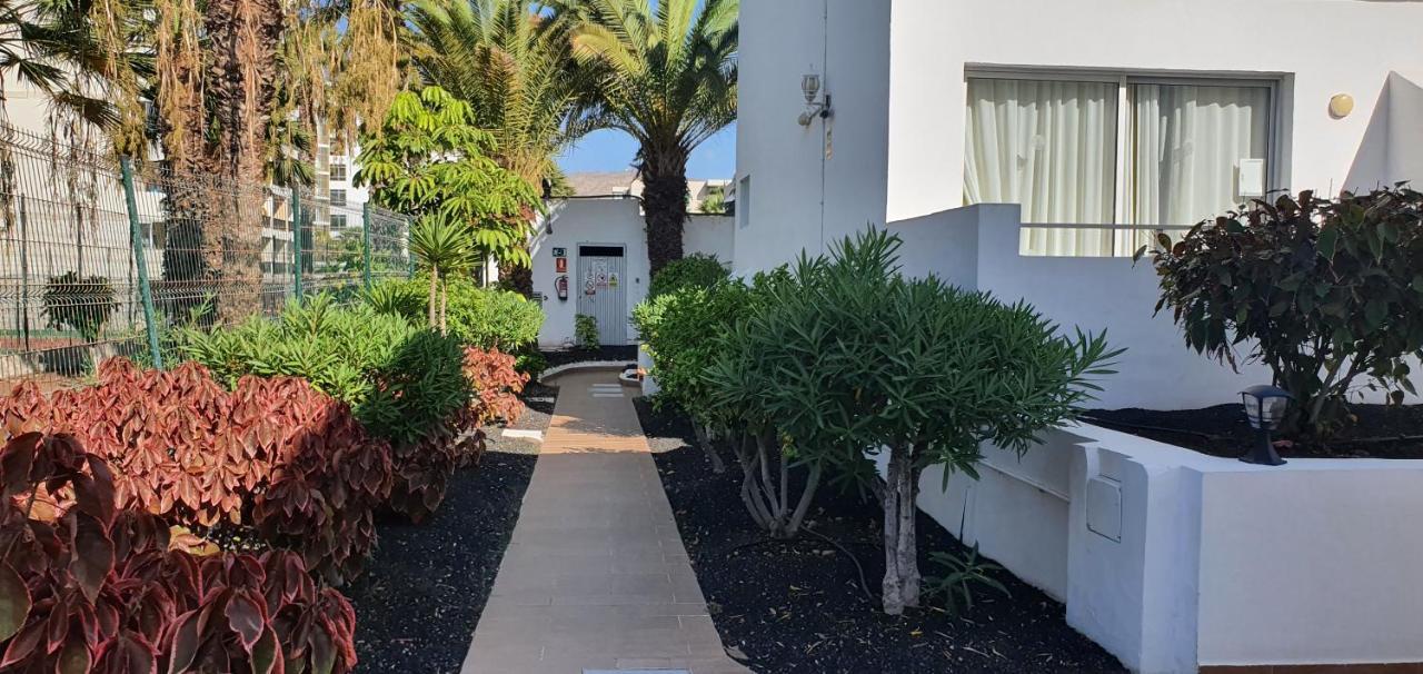 ארונה Adults Only Sunny Quiet Apartment In Center Of Las Americas מראה חיצוני תמונה