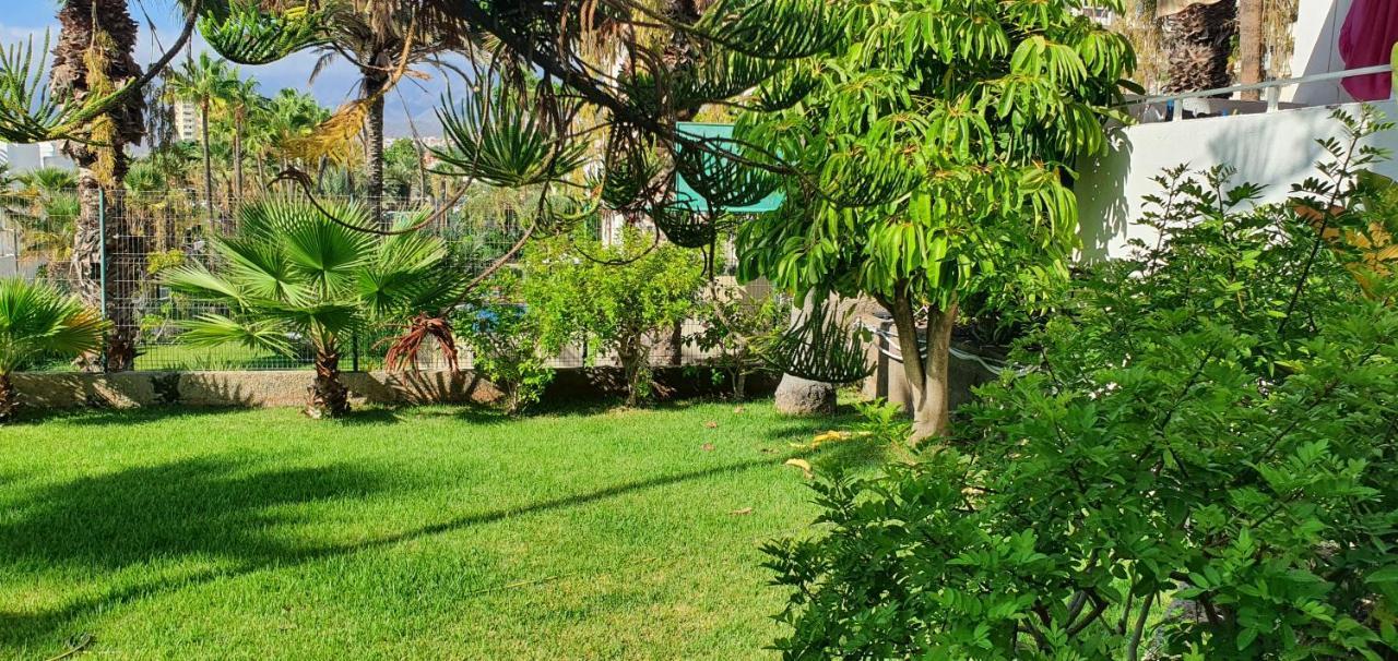ארונה Adults Only Sunny Quiet Apartment In Center Of Las Americas מראה חיצוני תמונה