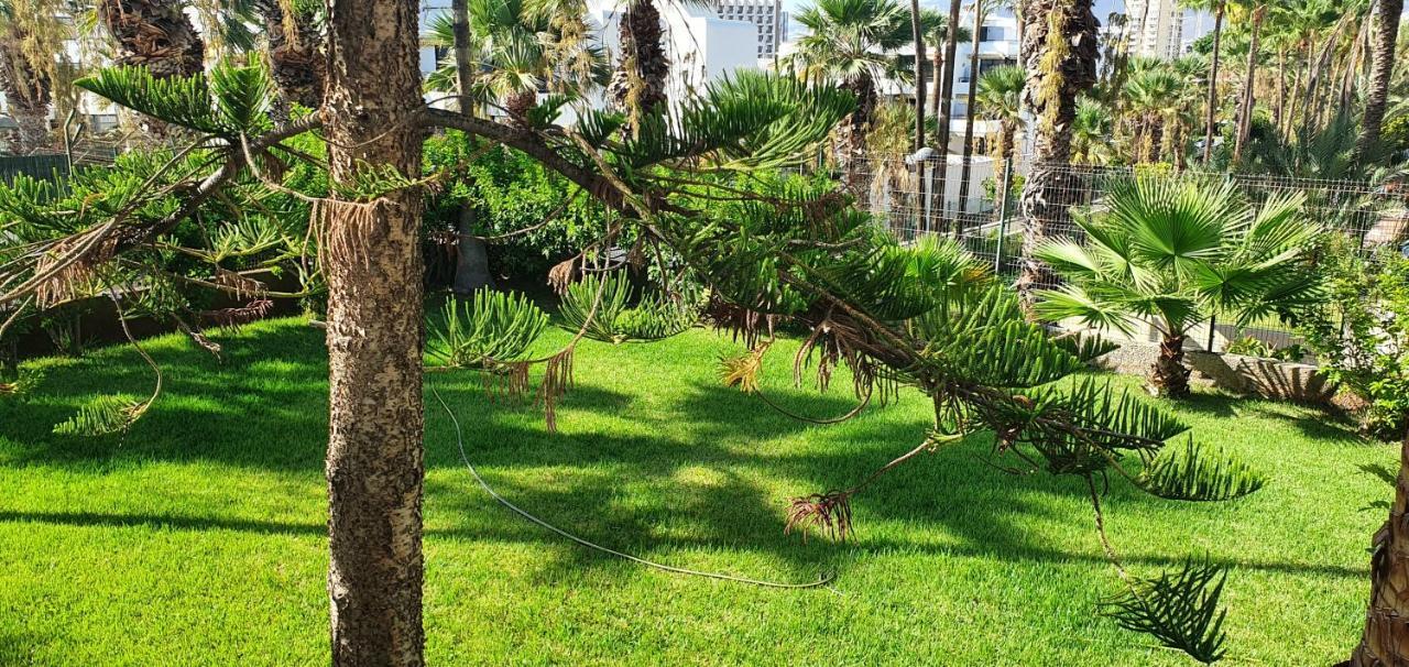 ארונה Adults Only Sunny Quiet Apartment In Center Of Las Americas מראה חיצוני תמונה