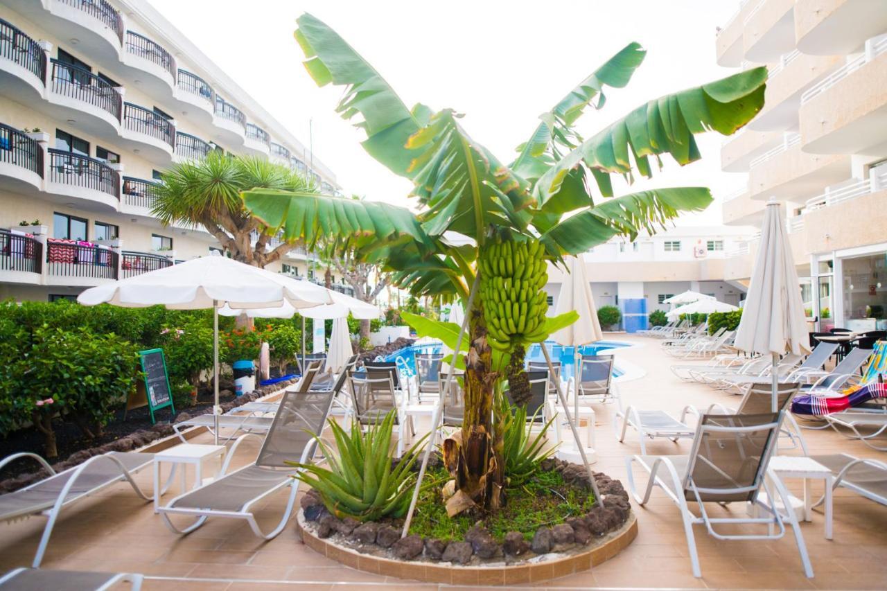 ארונה Adults Only Sunny Quiet Apartment In Center Of Las Americas מראה חיצוני תמונה